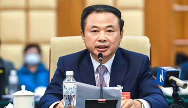 两会季丨围绕新能源产业，张天任代表提交这些建议