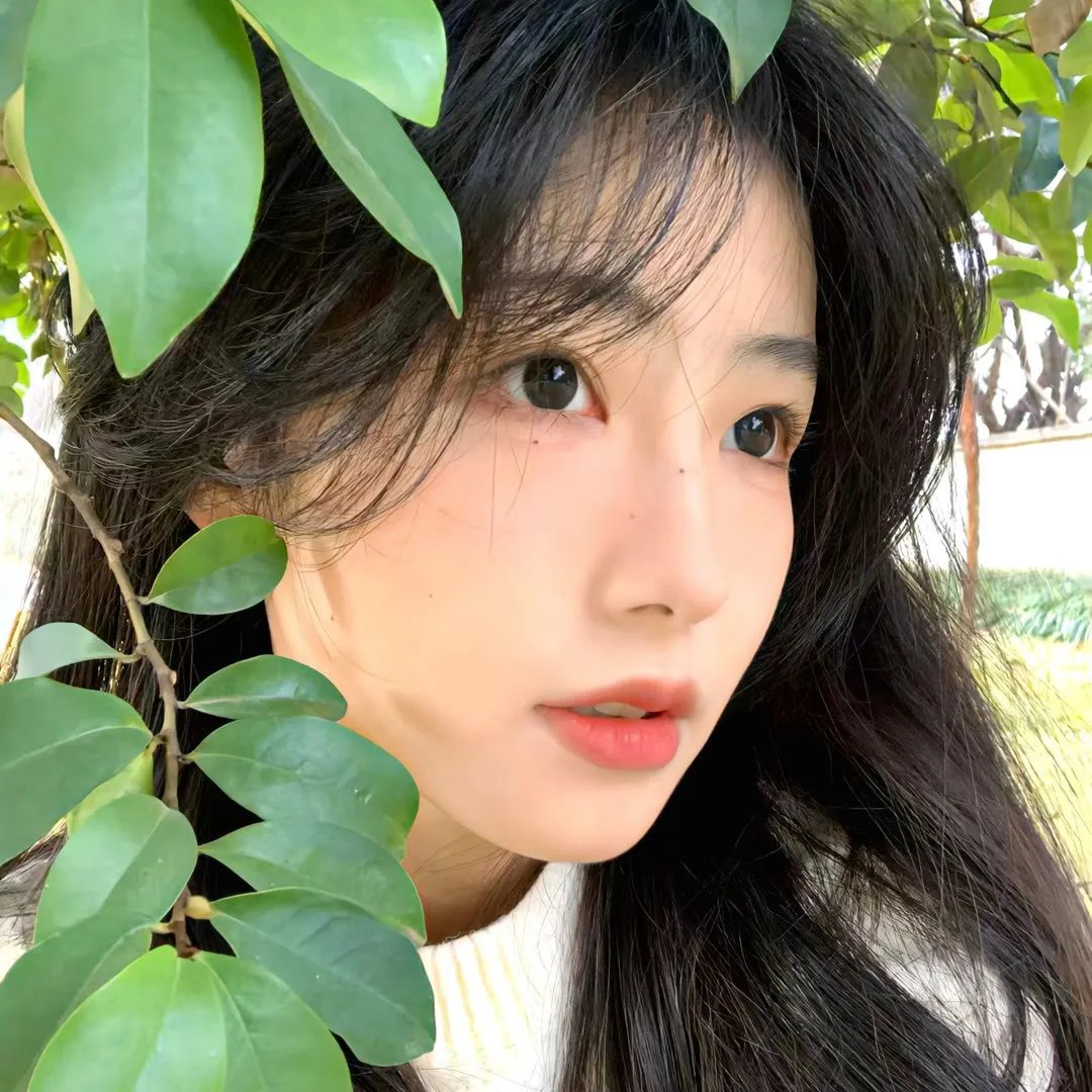无序之主